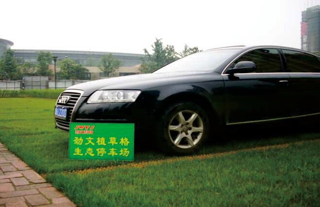 停車(chē)場(chǎng)植草格